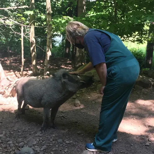 WartHog is being petted by one of the veterinarians at North Country Veterinary Services